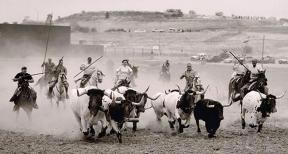 Trillo acoge este sábado la entrega de premios del 18º Concurso de Fotografía Taurina de ToroAlcarria 