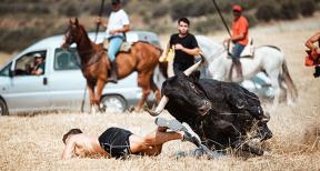 Álvaro Marín se alzó con el Primer Premio por ‘Cuerpo a tierra’ en una gala que ToroAlcarria dedicó a Miguel Ruiz Berlanga 